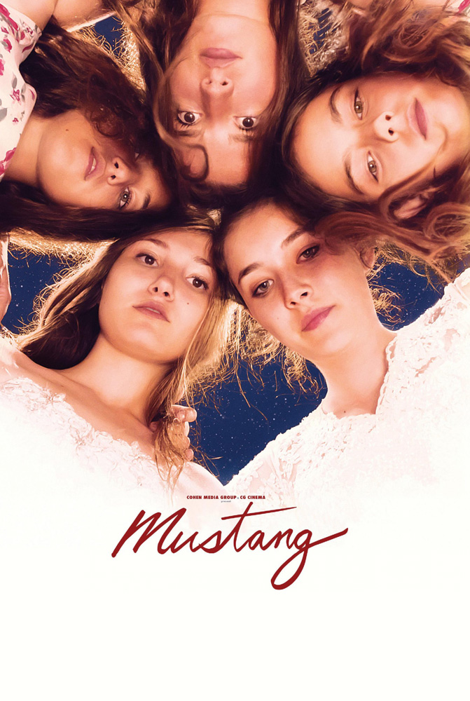 فيلم الحصان البري مترجم اون لاين